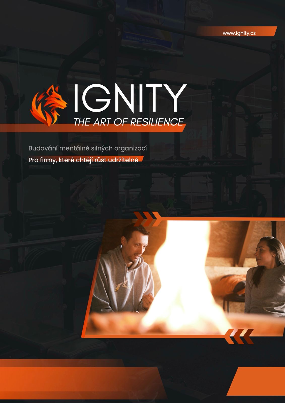 Náhled prezentace Ignity